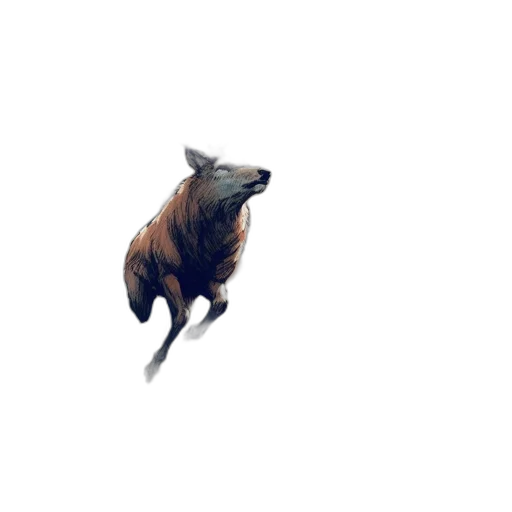 animal, creature, dragon, hair transparent PNG cut-out