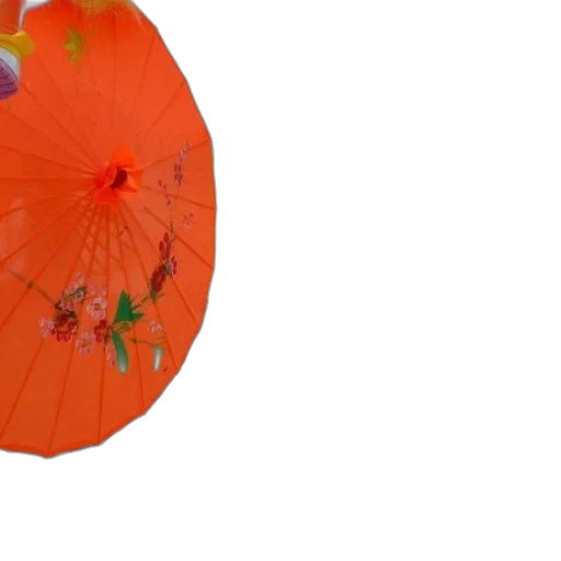 umbrella, flower, hat, crown transparent PNG cut-out
