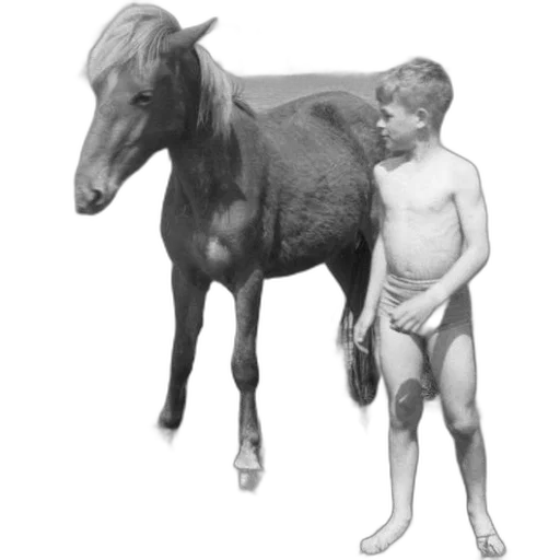animal, creature, weapon, staff transparent PNG cut-out