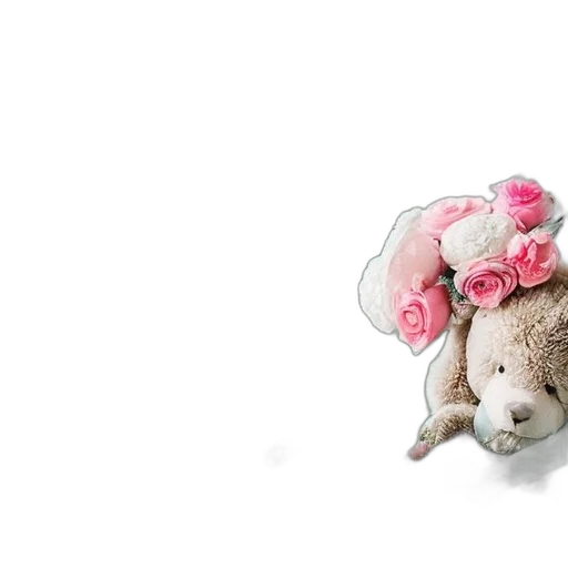 hat, animal, flower, dress transparent PNG cut-out