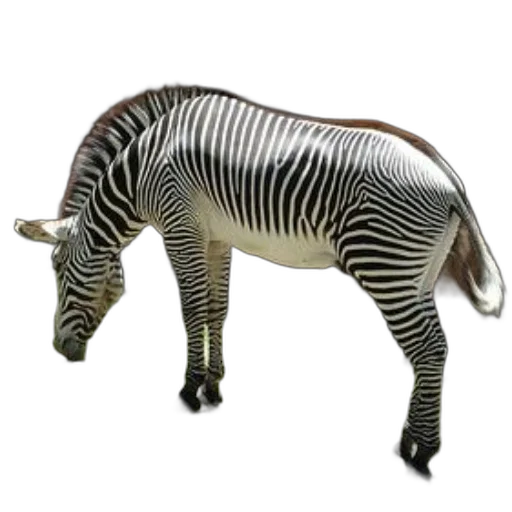 animal, creature, staff, jewelry transparent PNG cut-out