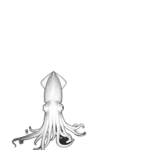 creature, crown, hair, animal transparent PNG cut-out