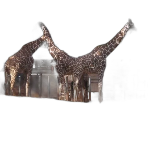 dress, animal, furniture, crown transparent PNG cut-out