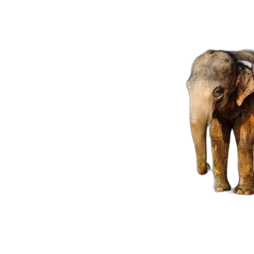 animal, creature, staff, 3d render transparent PNG cut-out