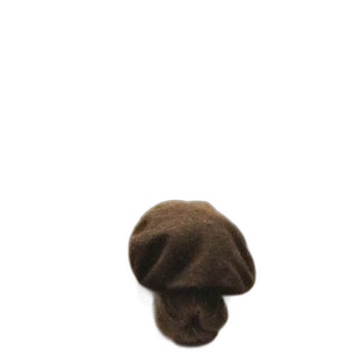 hat, hair, staff, crown transparent PNG cut-out