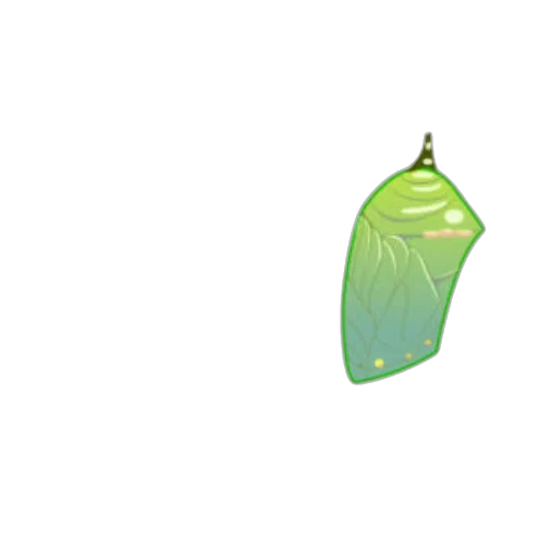 food, bottle, umbrella, jewelry transparent PNG cut-out