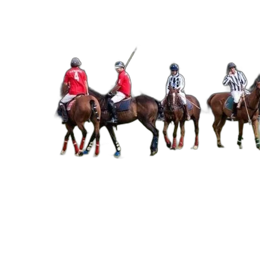 staff, weapon, sword, animal transparent PNG cut-out