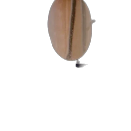 hat, umbrella, staff, furniture transparent PNG cut-out