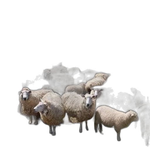 animal, concept art, 3d render, photorealistic transparent PNG cut-out