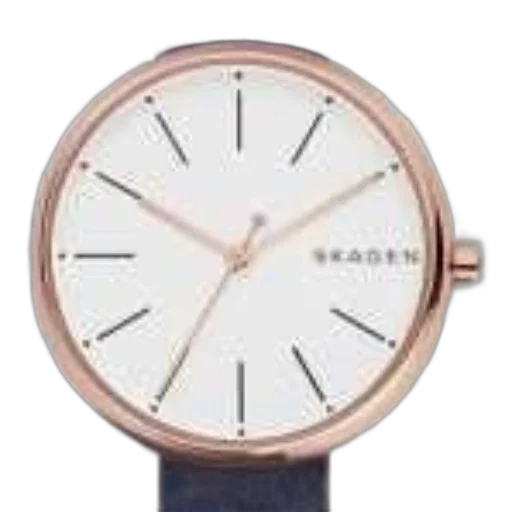 jewelry, skagen, watch, rose transparent PNG cut-out