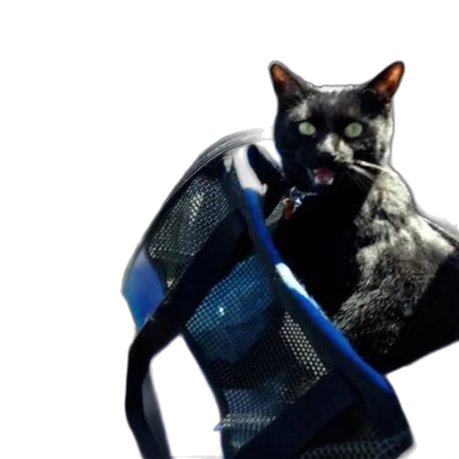 staff, animal, robot, weapon transparent PNG cut-out