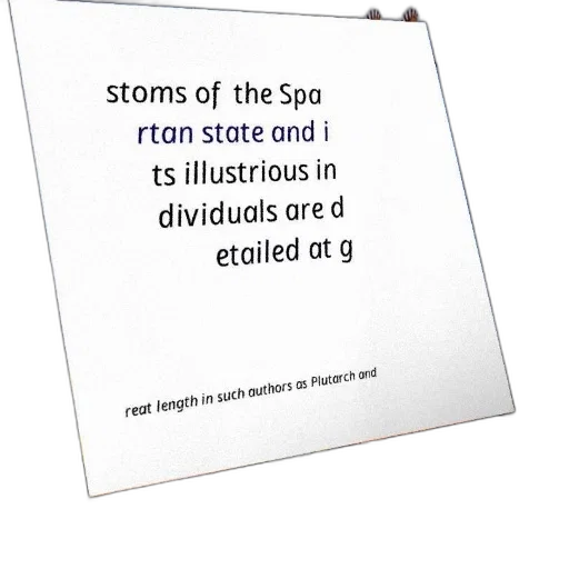 umbrella, image, features, text transparent PNG cut-out