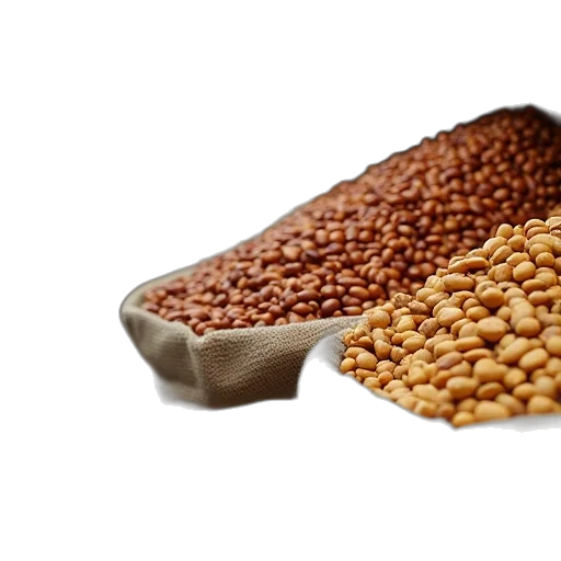 food, crown, dried, beans transparent PNG cut-out