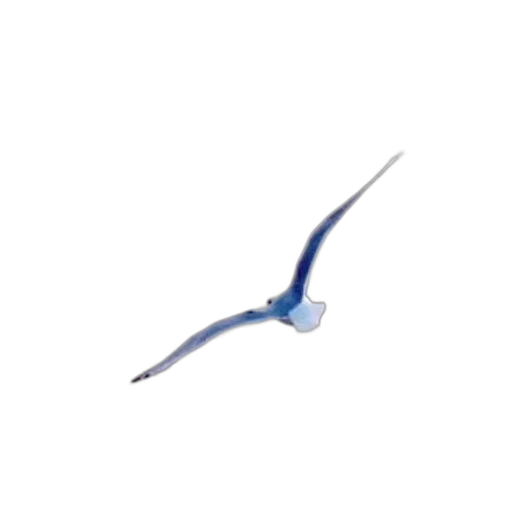staff, weapon, sword, dragon transparent PNG cut-out