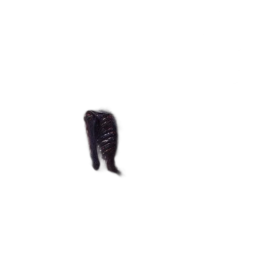 shoes, animal, hair, staff transparent PNG cut-out