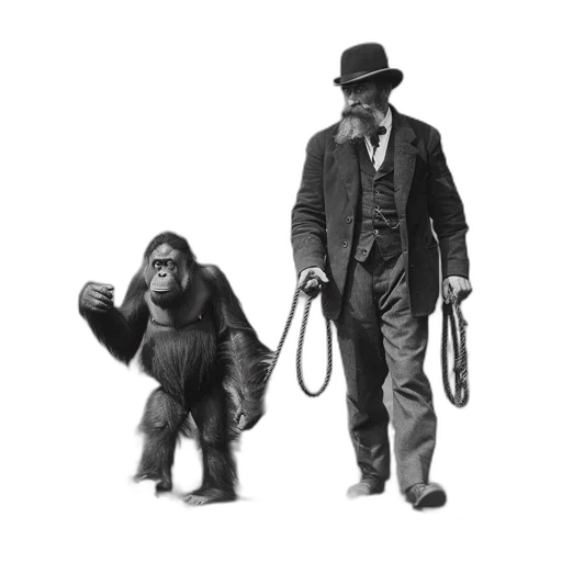 animal, staff, concept art, young transparent PNG cut-out