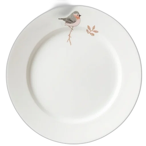 food, animal, jewelry, creature transparent PNG cut-out