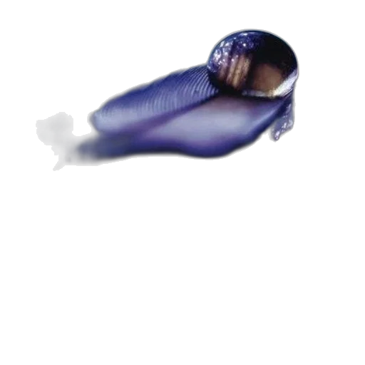 bottle, shoes, weapon, umbrella transparent PNG cut-out