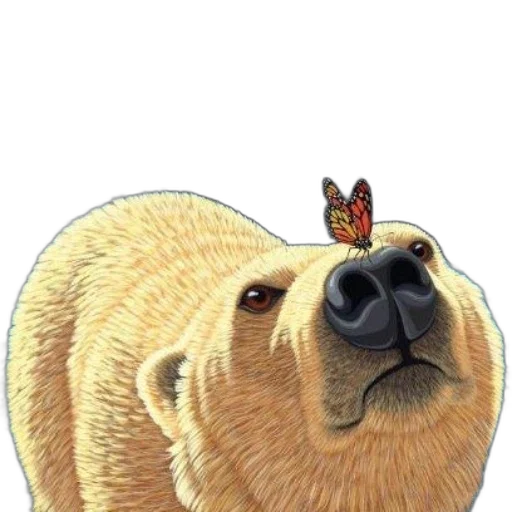 animal, creature, face, staff transparent PNG cut-out