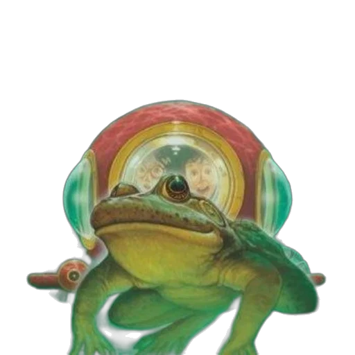 creature, hat, jewelry, animal transparent PNG cut-out