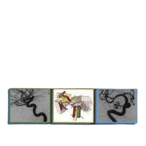 dragon, jewelry, sword, crown transparent PNG cut-out