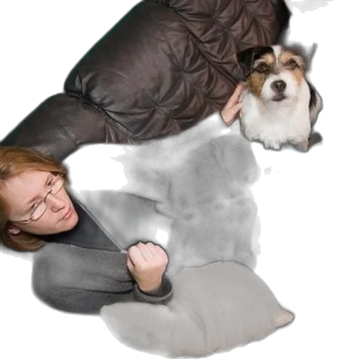 creature, jacket, animal, umbrella transparent PNG cut-out