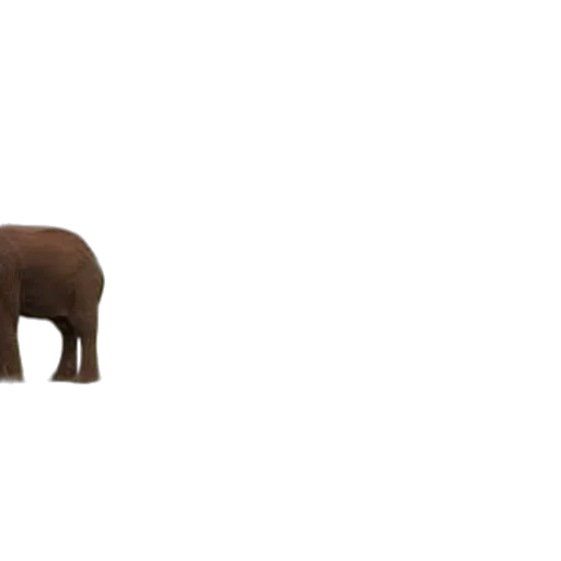 animal, creature, furniture, weapon transparent PNG cut-out
