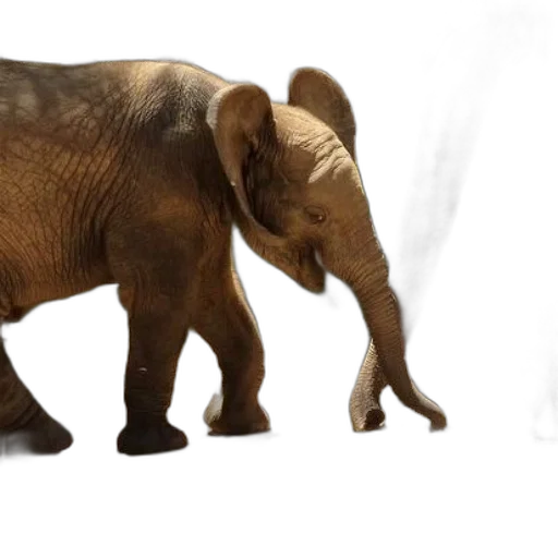 animal, creature, 3d render, concept art transparent PNG cut-out