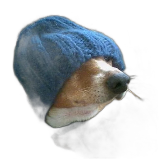 hat, animal, creature, mask transparent PNG cut-out