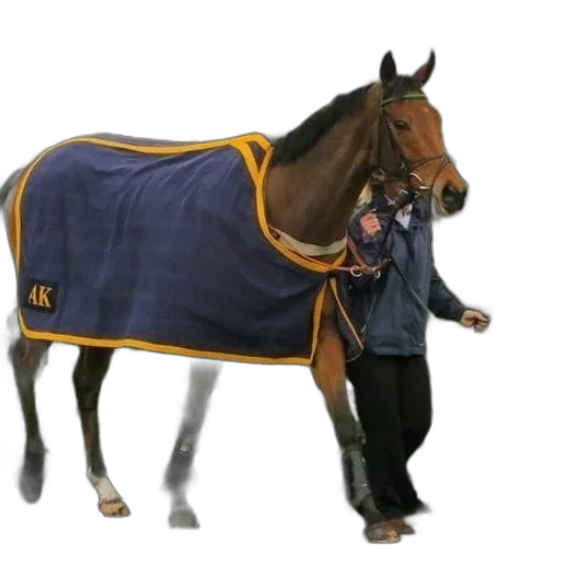 jacket, animal, dress, staff transparent PNG cut-out