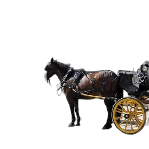 car, animal, robot, furniture transparent PNG cut-out