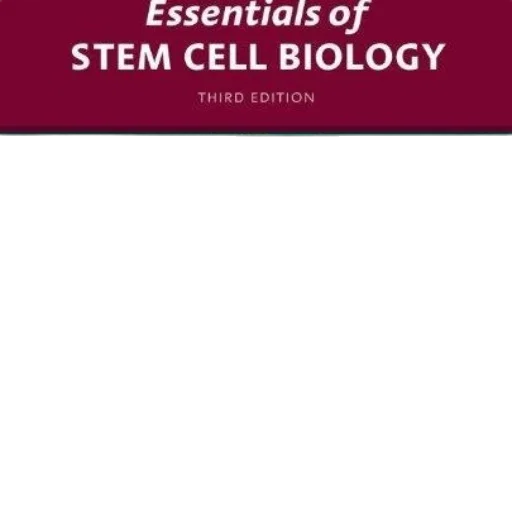 essentials, stem, cell, biology transparent PNG cut-out