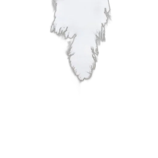 staff, hair, crown, face transparent PNG cut-out