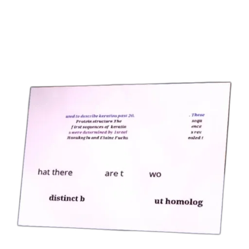 furniture, text-based, image, discussing transparent PNG cut-out
