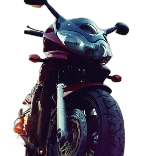weapon, sword, jacket, animal transparent PNG cut-out