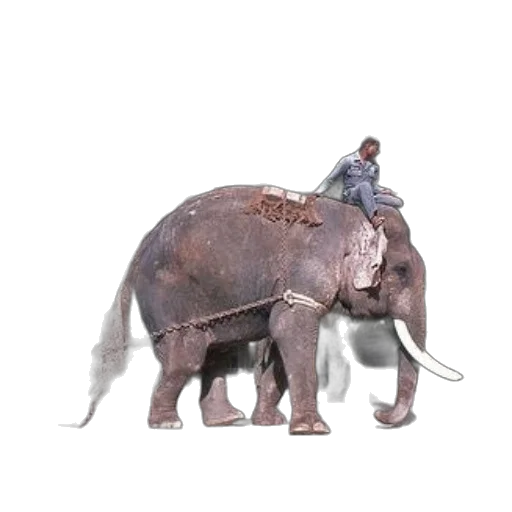 animal, creature, staff, weapon transparent PNG cut-out