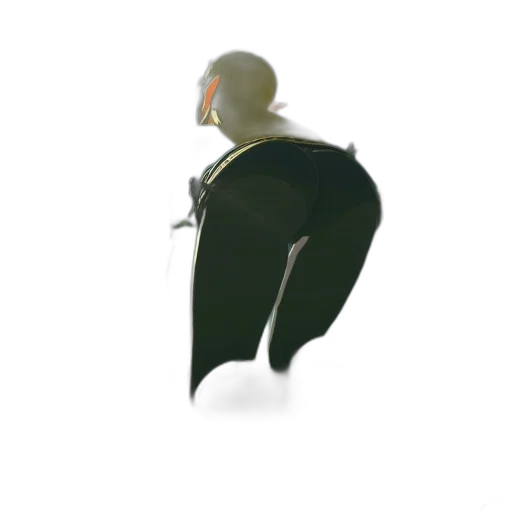 jacket, staff, creature, robot transparent PNG cut-out