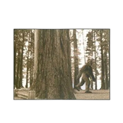tree, creature, animal, robot transparent PNG cut-out