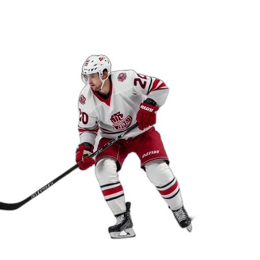 professional, hockey, player, ice transparent PNG cut-out