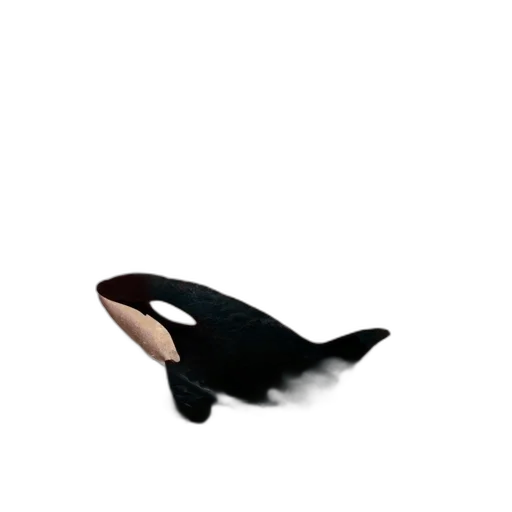 shoes, animal, creature, hat transparent PNG cut-out