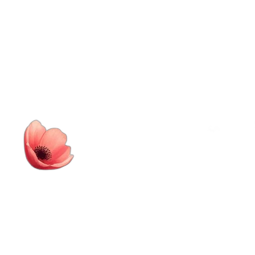 flower, hat, weapon, food transparent PNG cut-out