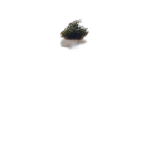 tree, crown, hat, car transparent PNG cut-out