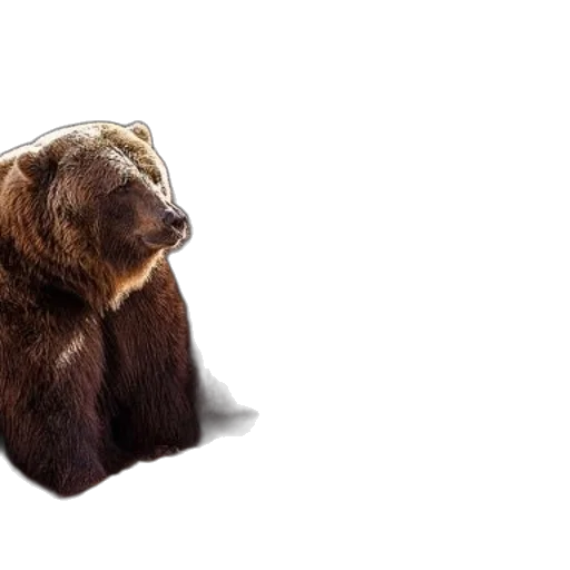 animal, creature, photorealistic, 3d render transparent PNG cut-out