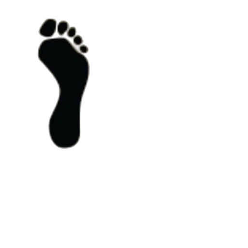 shoes, staff, animal, face transparent PNG cut-out