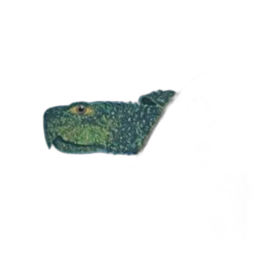 dragon, animal, hat, creature transparent PNG cut-out