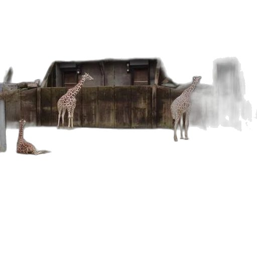 animal, furniture, car, creature transparent PNG cut-out