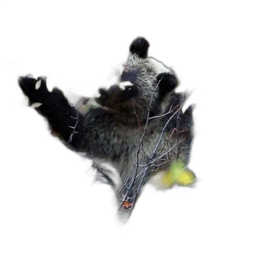 animal, dragon, creature, mask transparent PNG cut-out