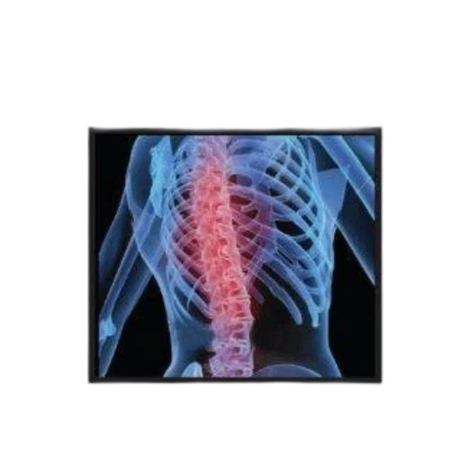 jacket, jewelry, wise, patient transparent PNG cut-out