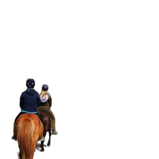 animal, hat, jacket, pixel art transparent PNG cut-out