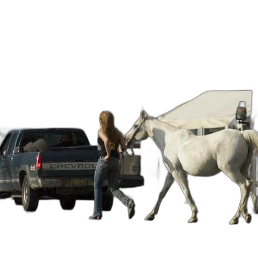 animal, car, concept art, 3d render transparent PNG cut-out